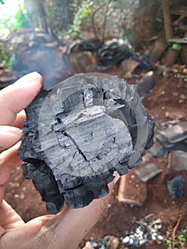 Wood Charcoal