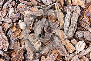 Wood chip bark chippings, texture background close up