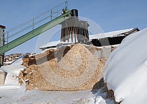 Wood chip conveyor