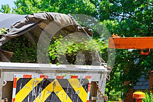 Wood Chipper in Action captures a wood chipper or mulcher shooting chips