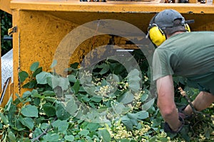 Wood chipper blowing tree branches cut A tree chipper or wood chipper is a portable machine used for reducing wood into smaller