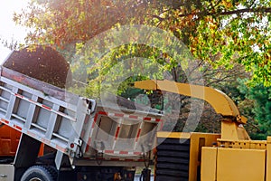 Wood chipper blowing tree branches cut a portable machine used for reducing wood into smaller wood chips photo