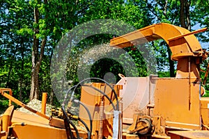 Wood chipper blowing tree branches cut A tree chipper or wood chipper is a portable machine used for reducing wood into