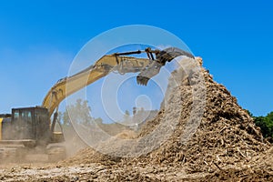 Wood chipper machine with mulch an work conveyor the roots shredding