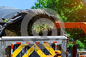 Wood chipper shredding a portable machine tree into a truck photo