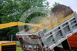 A wood chipper at work machinery, wood shredder after an unexpected hurricane storm photo