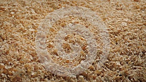 Wood Chippings Packing Material Animal Bedding