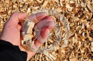 Wood chips