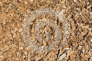 Wood chips closeup