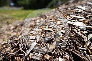 wood chips and Compost pile, organic thermophilic compost turning in Tasmania Australia