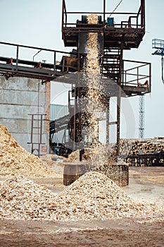 Wood chips on the conveyor