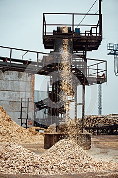 Wood chips on the conveyor