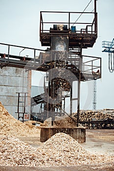 Wood chips on the conveyor