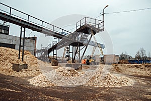 Wood chips on the conveyor