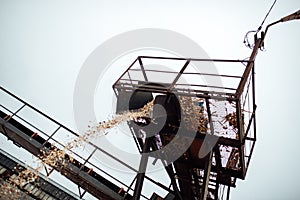 Wood chips on the conveyor