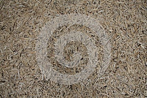 Wood chips on the forrest floor