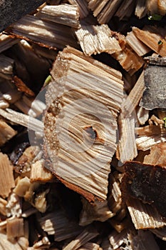 Wood chips - macro shot