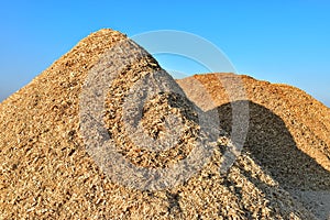Wood chips on pile