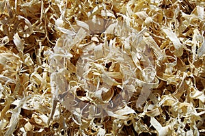 Wood chips background. Sawdust
