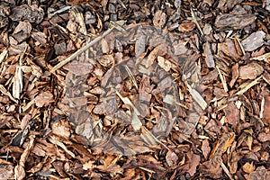 Wood chips or sawdust texture background, background pattern