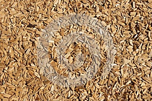 Wood chips texture. Wooden background