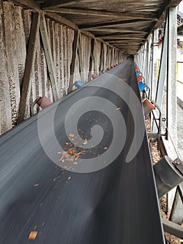 Wood chips used as raw materials in the production of pulp