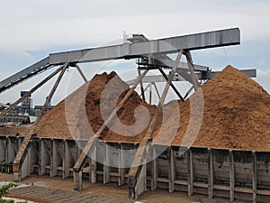 Wood chips used as raw materials in the production of pulp