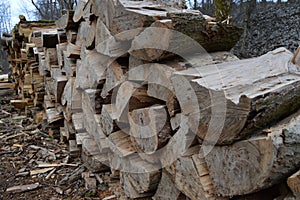 Wood