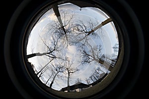 Wood church and tree