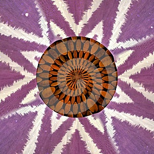 Wood and Cloth Star shaped pattern