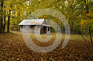 Wood cottage surrounded by fall color trees