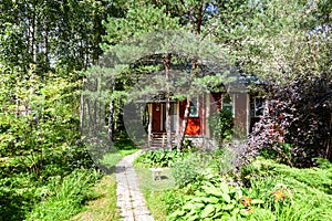 Wood country house in overgrown ornamental garden