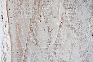 Wood covered in white paint