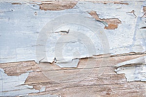 Wood cracks colour textured background for design and all inspirations creative