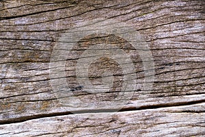 Wood cracks textured background for design