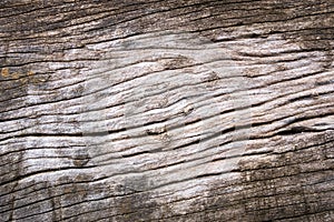 Wood cracks textured background for design photo