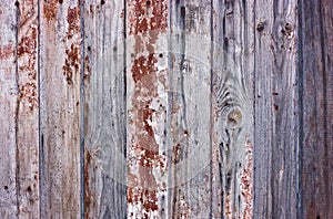 Wood cracky texture