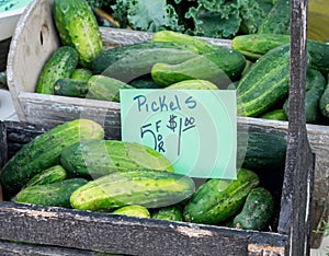 Wood crate of pickles at the farmers market photo