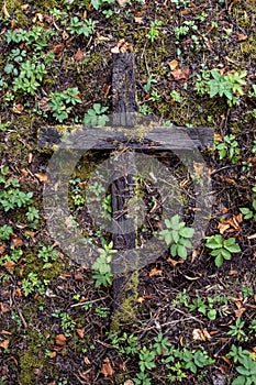 Wood cross on forgotten grave