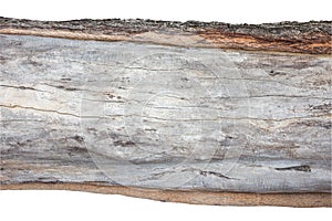 Wood cross section, backgrounds bark and wood texture on white