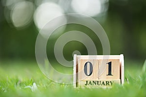 Wood cube calendar on 1 january on green grass field , begin of