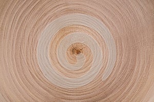 Drevo znížiť kruhy textúra 