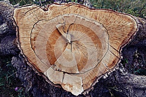 Wood cut texture ring