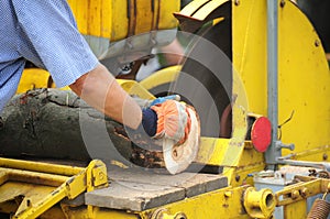 Wood cutting