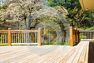 Wood deck in spring/wide