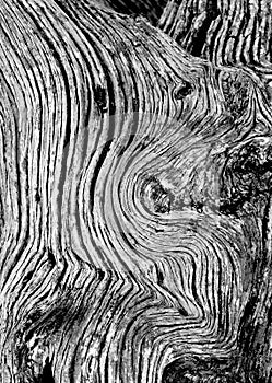 Wood Detail
