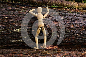 Wood doll climbing a tree