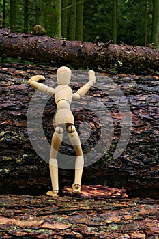 Wood doll climbing a tree