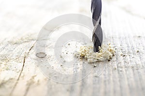 Wood drill bit with sawdust photo