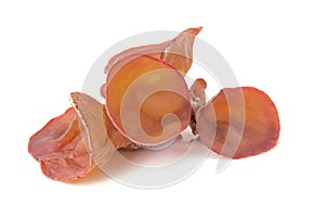 Wood ear, Edible mushroom with isolated on white background. Closeup